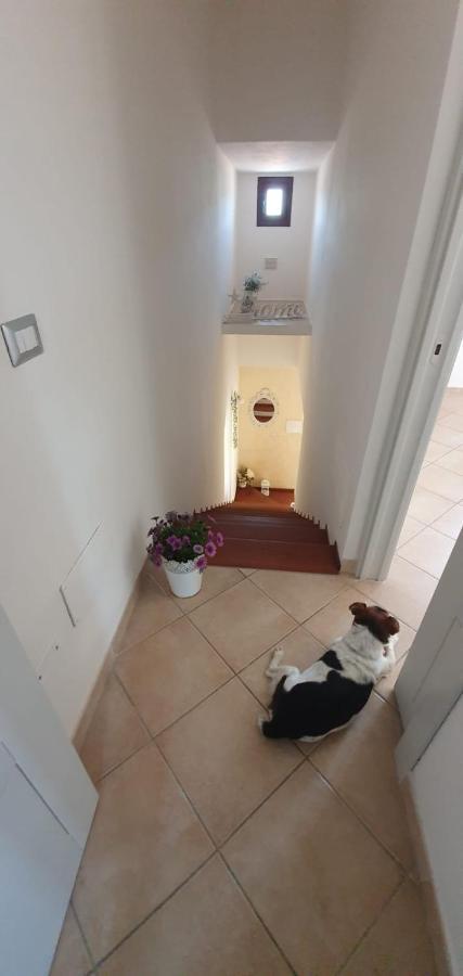 B&B Villa Orchidea Ольбия Экстерьер фото