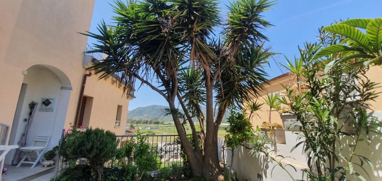 B&B Villa Orchidea Ольбия Экстерьер фото